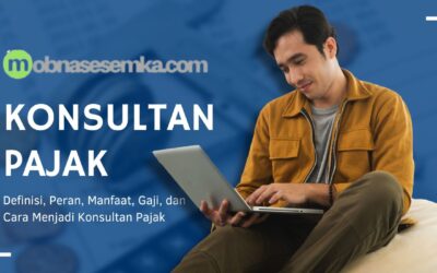 Apa Itu Konsultan Pajak? Definisi dan Perannya