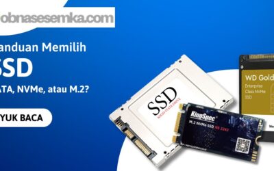 Panduan Memilih Jenis SSD: SATA, NVMe, atau M.2?